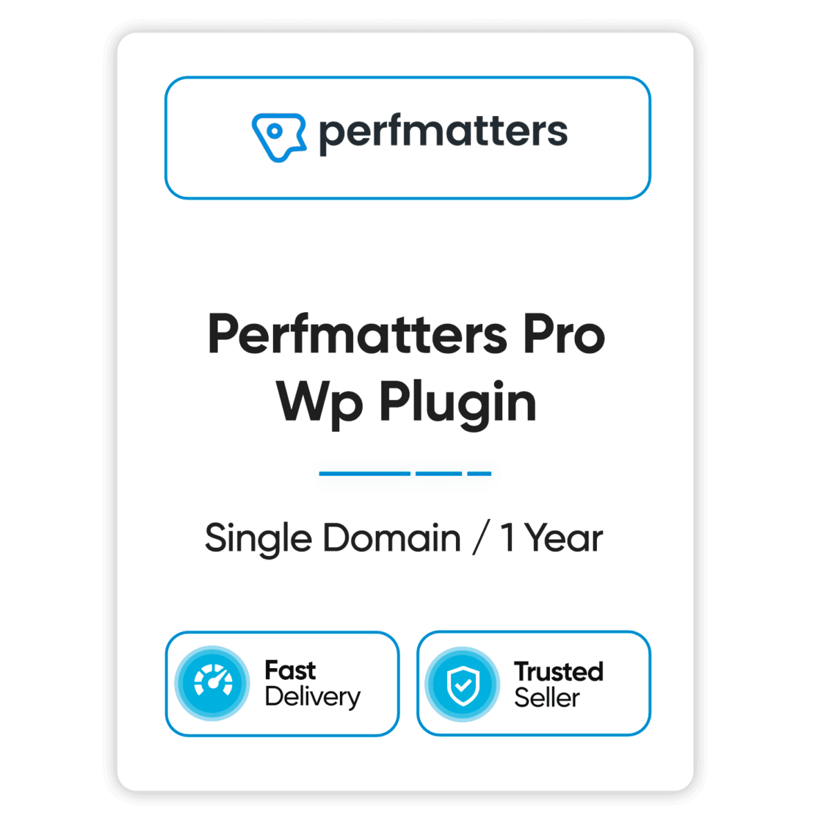 perfmatters pro wp plugin single domain 1 year
